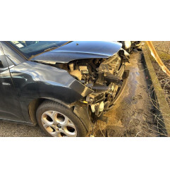 Custode arriere gauche CITROEN C3 2