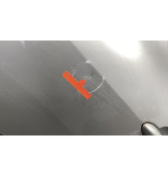 Porte arriere gauche RENAULT CLIO 3