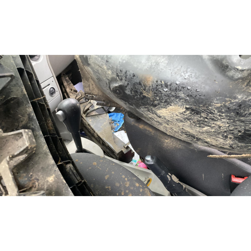 Porte arriere droit RENAULT MODUS Photo n°10