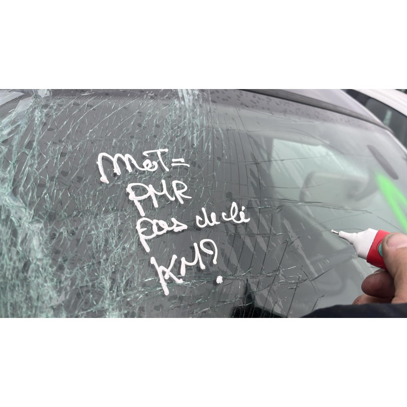 Porte arriere droit RENAULT MODUS Photo n°12