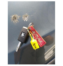 Cremaillere assistee PEUGEOT 407