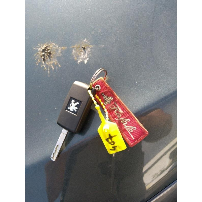 Cremaillere assistee PEUGEOT 407 Photo n°5