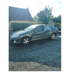 Cremaillere assistee PEUGEOT 407