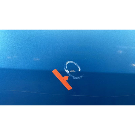 Porte arriere gauche RENAULT MODUS