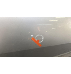Porte arriere droit DACIA LOGAN 1