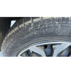 Porte arriere droit DACIA LOGAN 1