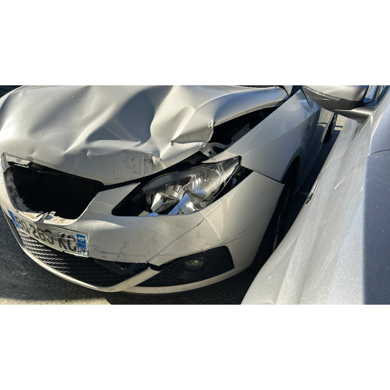 Custode arriere droit SEAT IBIZA 4 Photo n°12