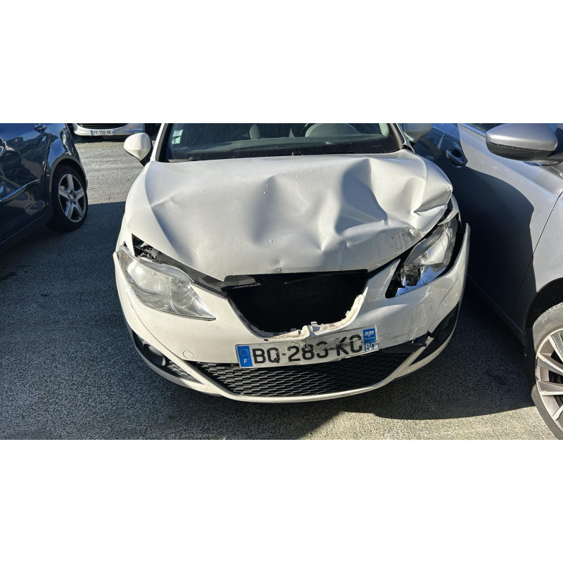 Custode arriere gauche SEAT IBIZA 4 Photo n°15