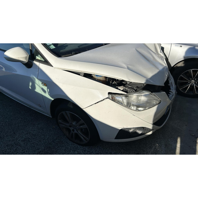Custode arriere gauche SEAT IBIZA 4 Photo n°16