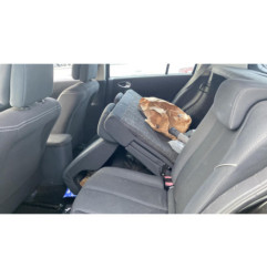 Plage arriere RENAULT MEGANE 2