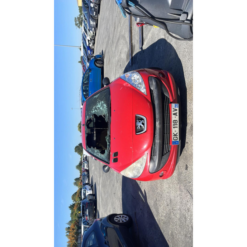 Charniere de capot PEUGEOT 206+ Photo n°8