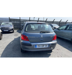 Catalyseur (echappement) PEUGEOT 307