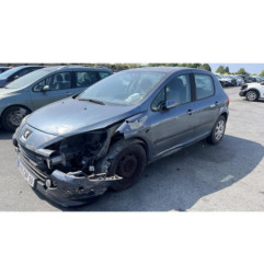 Catalyseur (echappement) PEUGEOT 307
