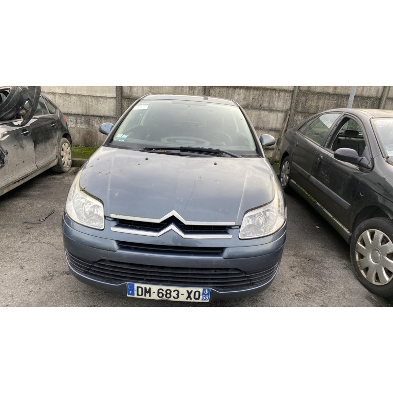 Porte avant gauche CITROEN C4 1 Photo n°6