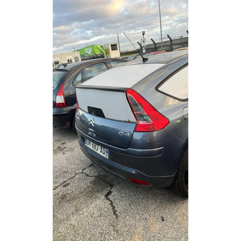 Porte avant gauche CITROEN C4 1 Photo n°10