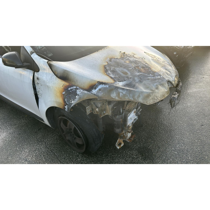 Malle/Hayon arriere RENAULT MEGANE 3 Photo n°15