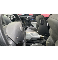 Baguette de porte avant gauche PEUGEOT 407