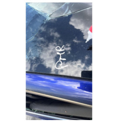 Verin de coffre PEUGEOT 308 2