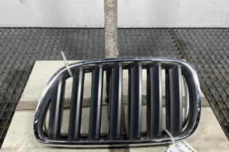 Calandre BMW X3 E83 Photo n°1