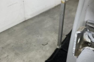 Porte arriere gauche CITROEN C3 1