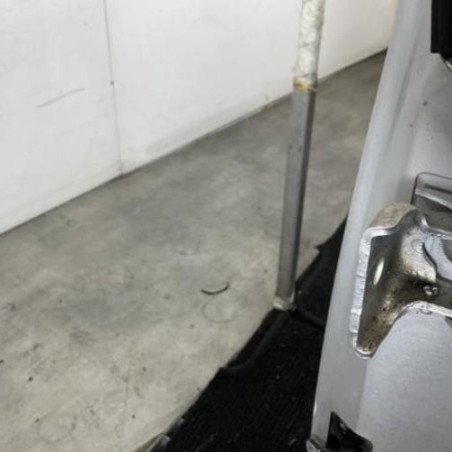 Porte arriere gauche CITROEN C3 1
