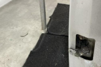 Porte arriere gauche CITROEN C3 1