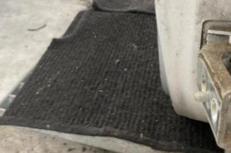 Porte arriere gauche CITROEN C3 1