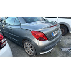 Hayon inferieur PEUGEOT 207