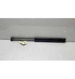 Verin de coffre NISSAN QASHQAI 1