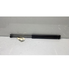 Verin de coffre NISSAN QASHQAI 1