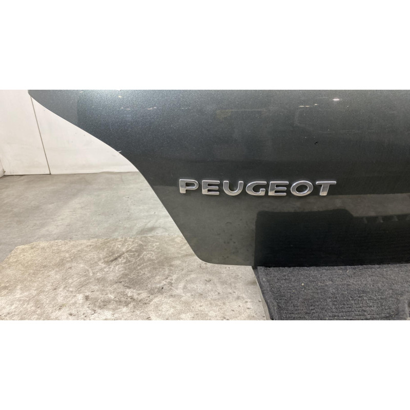 Malle/Hayon arriere PEUGEOT 307 Photo n°10