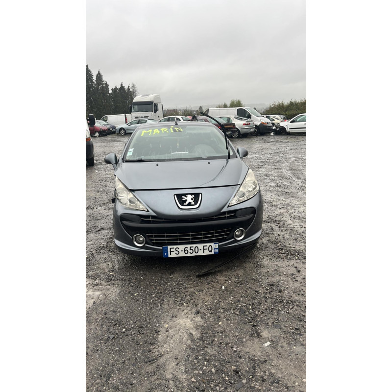 Custode arriere droit PEUGEOT 207 Photo n°13