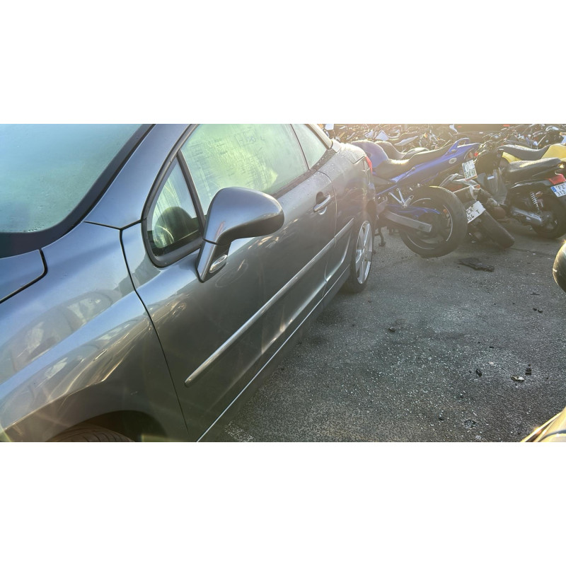 Custode arriere gauche PEUGEOT 207 Photo n°11
