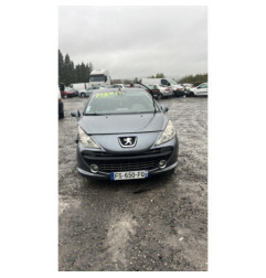 Hayon inferieur PEUGEOT 207