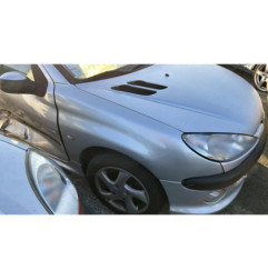 Debitmetre PEUGEOT 206