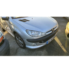 Debitmetre PEUGEOT 206