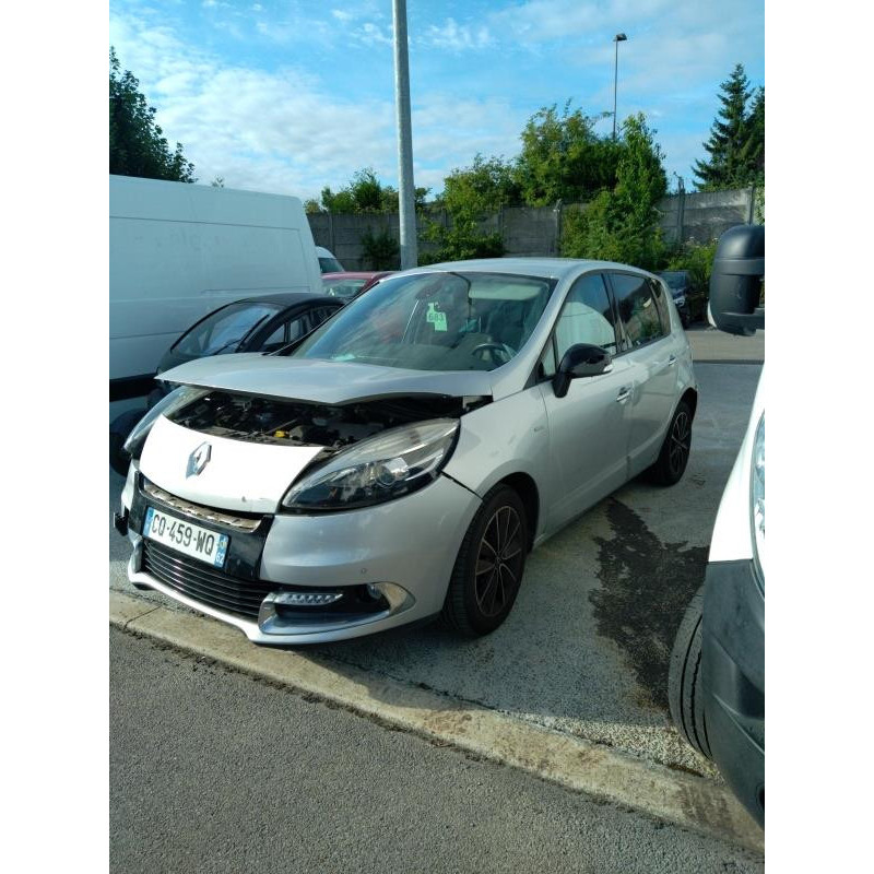 Custode arriere gauche RENAULT SCENIC 3 Photo n°12