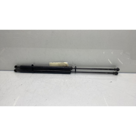 Verin de coffre NISSAN QASHQAI 1