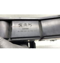 Canister PEUGEOT 208 2