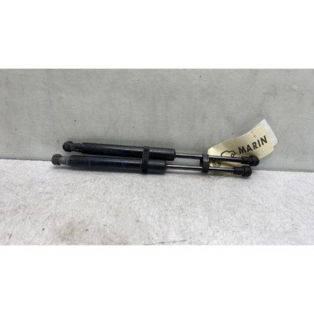 Verin de capot RENAULT SCENIC 4 Photo n°1