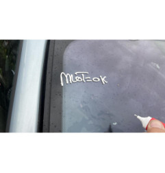Poignee interieur arriere gauche CITROEN C5 1