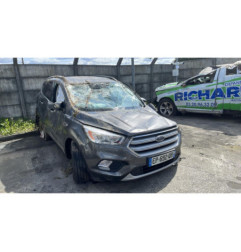 Bouton de warning FORD KUGA 2