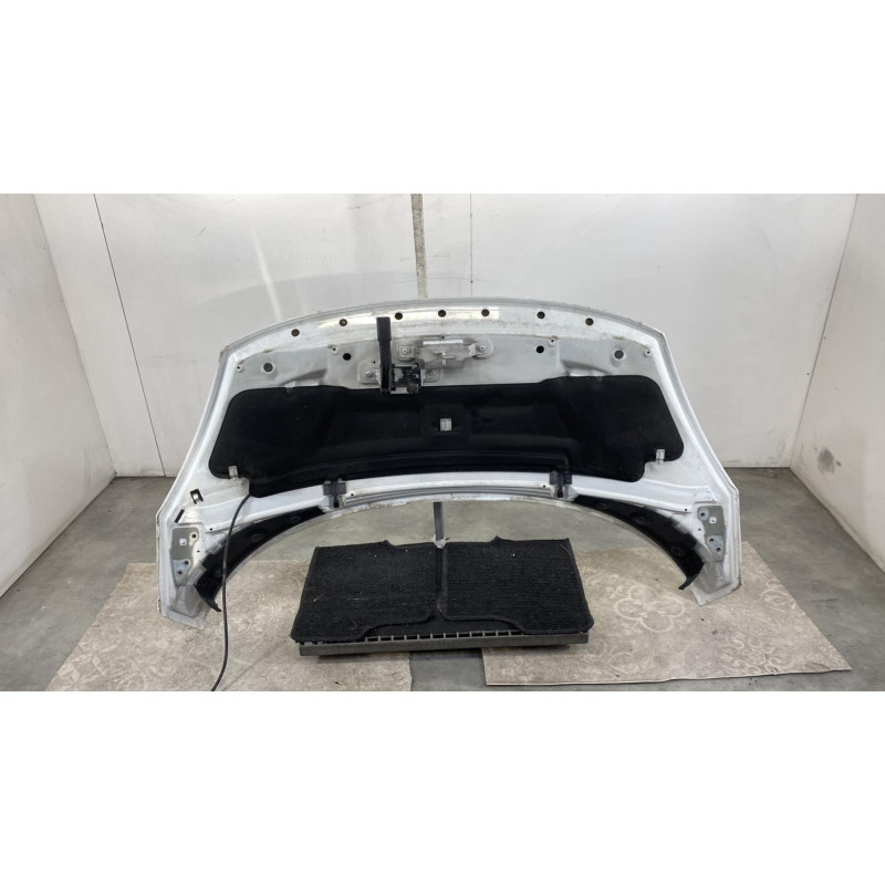 Capot RENAULT SCENIC 3 Photo n°1