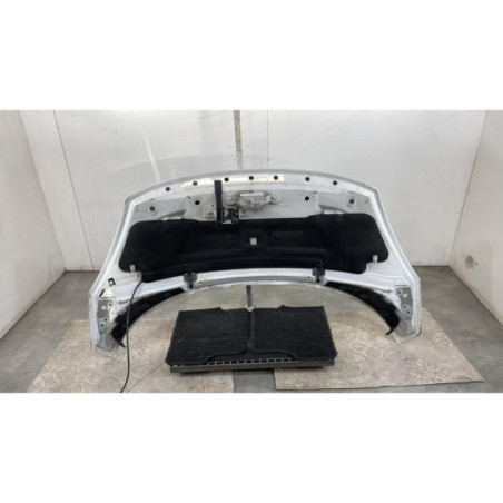 Capot RENAULT SCENIC 3 Photo n°1