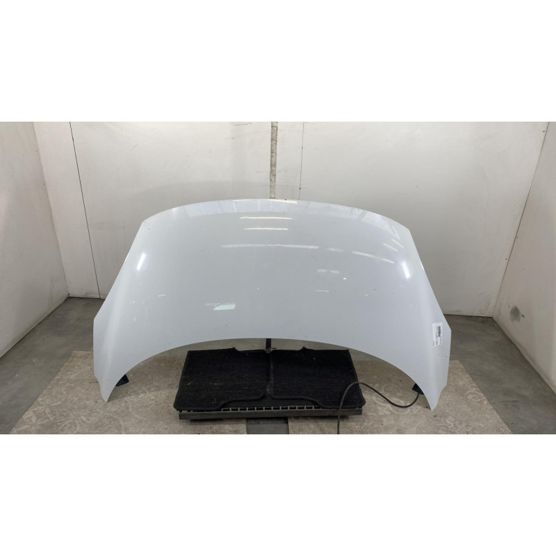 Capot RENAULT SCENIC 3 Photo n°3
