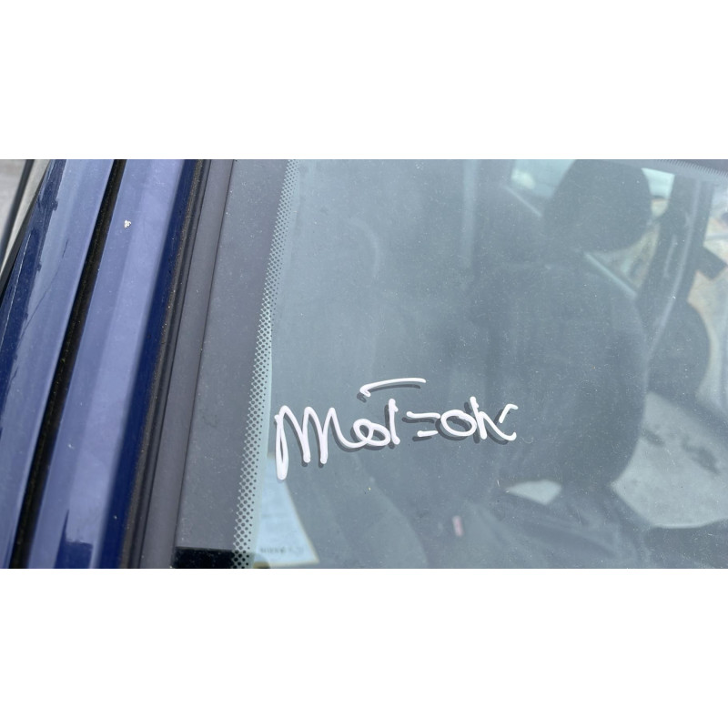 Poignee porte avant droit RENAULT SCENIC 1 Photo n°5