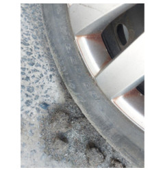 Glace retroviseur gauche CITROEN SAXO