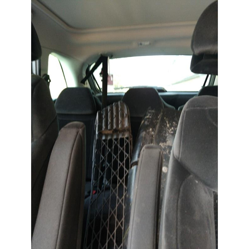 Porte arriere gauche CITROEN C4 PICASSO 1 Photo n°12