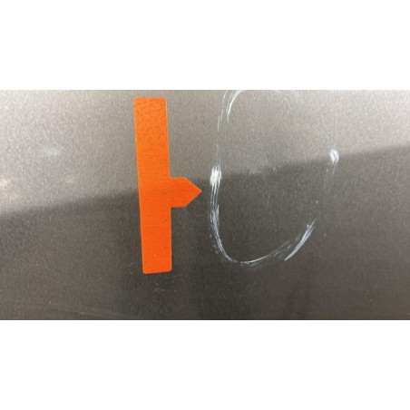 Porte avant gauche RENAULT LAGUNA 3