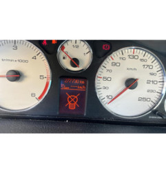 Verin de coffre PEUGEOT 407